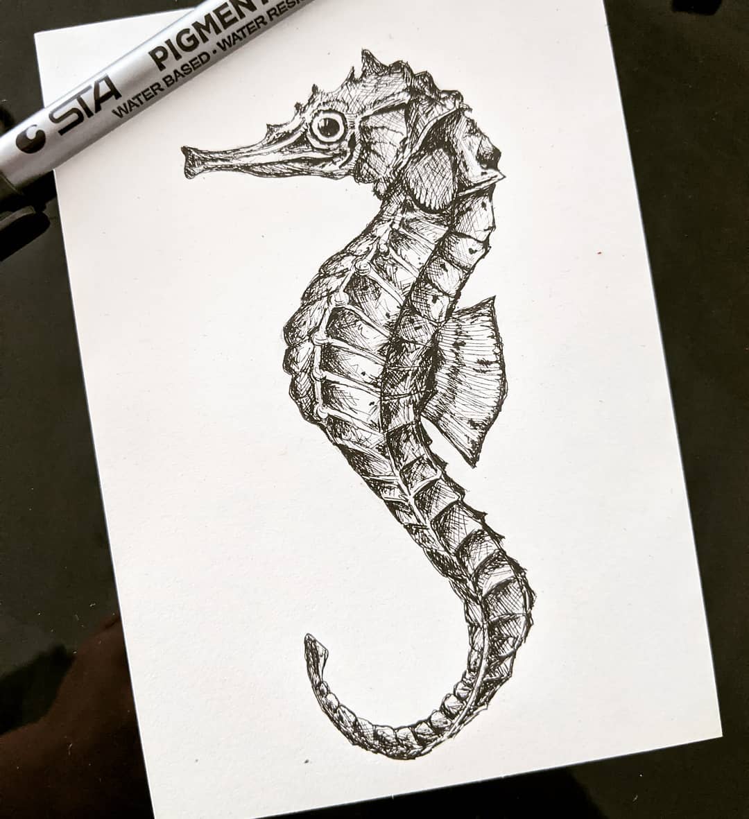 Seahorse